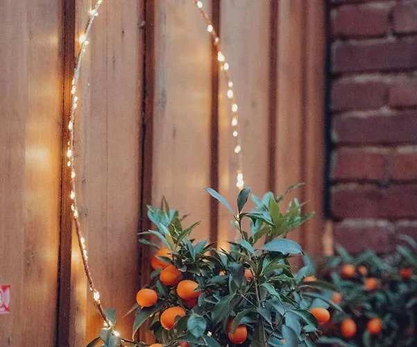 Apartamento Weingut Caspari, Familie Eggert Traben-Trarbach